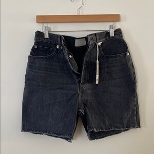 Everlane The Rigid Way-High Short